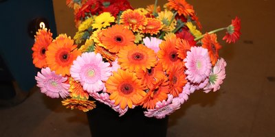 ein Strauß bunter Gerberas
