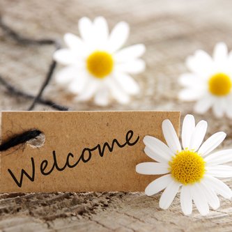 3 Gänseblümchen mit Schild auf dem Welcome steht